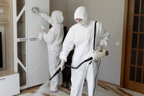 Professional Mold Remediation in Three Rivers, MI
