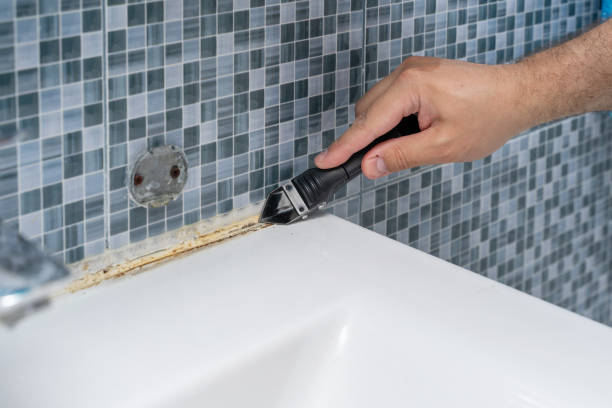 Best Insurance-Related Mold Remediation in Three Rivers, MI